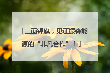 三面锦旗，见证振森能源的“非凡合作”！