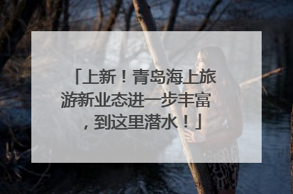 上新！青岛海上旅游新业态进一步丰富，到这里潜水！