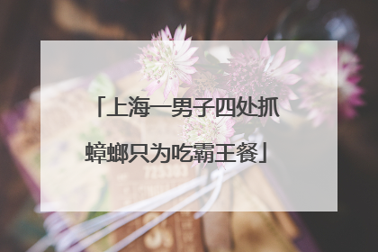 上海一男子四处抓蟑螂只为吃霸王餐
