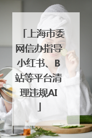 上海市委网信办指导小红书、B站等平台清理违规AI