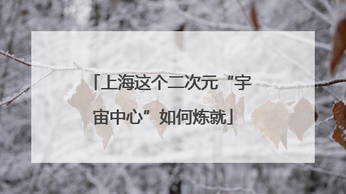 上海这个二次元“宇宙中心”如何炼就