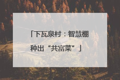 下瓦泉村：智慧棚种出“共富菜”