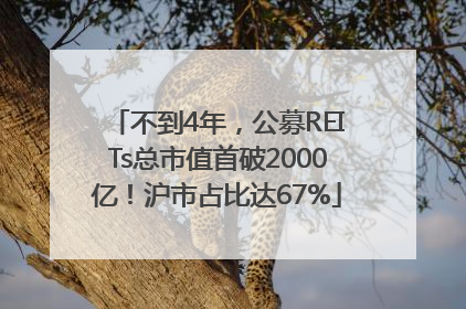 不到4年，公募REITs总市值首破2000亿！沪市占比达67%