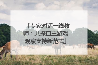 专家对话一线教师：共探自主游戏观察支持新范式