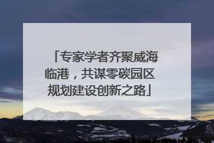 专家学者齐聚威海临港，共谋零碳园区规划建设创新之路
