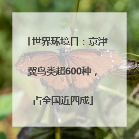 世界环境日：京津冀鸟类超600种，占全国近四成