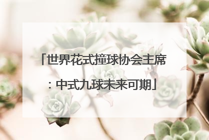 世界花式撞球协会主席：中式九球未来可期