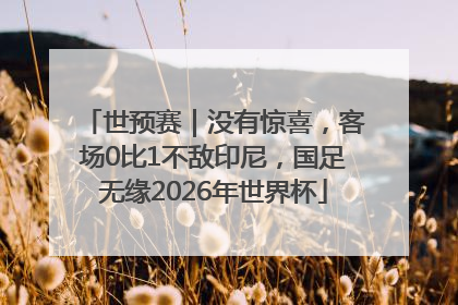 世预赛｜没有惊喜，客场0比1不敌印尼，国足无缘2026年世界杯