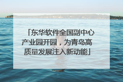 东华软件全国副中心产业园开园，为青岛高质量发展注入新动能