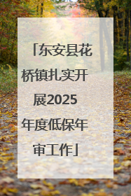 东安县花桥镇扎实开展2025年度低保年审工作