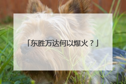 东胜万达何以爆火？