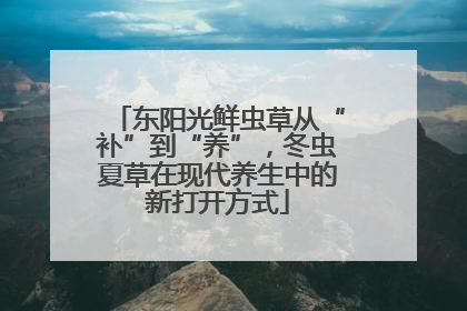 东阳光鲜虫草从“补”到“养”，冬虫夏草在现代养生中的新打开方式
