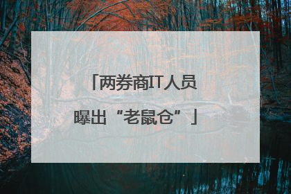 两券商IT人员曝出“老鼠仓”
