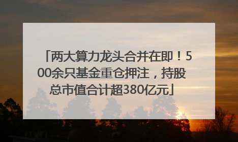 两大算力龙头合并在即！500余只基金重仓押注，持股总市值合计超380亿元