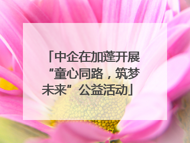 中企在加蓬开展“童心同路，筑梦未来”公益活动