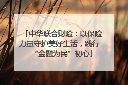 中华联合财险：以保险力量守护美好生活，践行“金融为民”初心