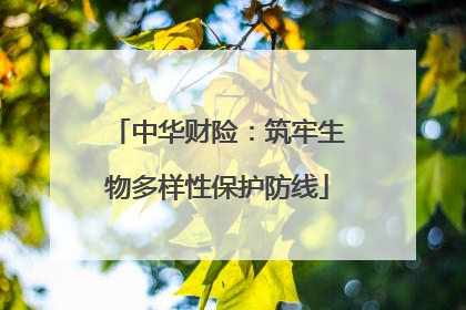 中华财险：筑牢生物多样性保护防线