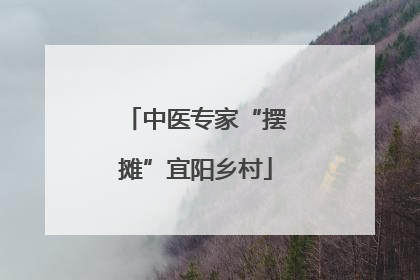 中医专家“摆摊”宜阳乡村