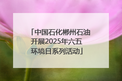 中国石化郴州石油开展2025年六五环境日系列活动