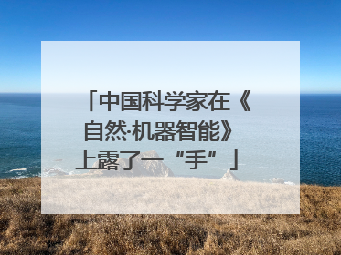 中国科学家在《自然·机器智能》上露了一“手”