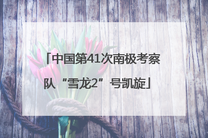 中国第41次南极考察队“雪龙2”号凯旋