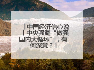 中国经济信心说丨中央强调“做强国内大循环”，有何深意？