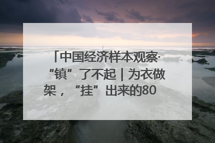 中国经济样本观察·“镇”了不起｜为衣做架，“挂”出来的80亿元“衣架产业”