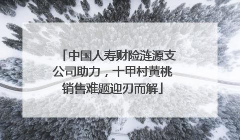 中国人寿财险涟源支公司助力，十甲村黄桃销售难题迎刃而解