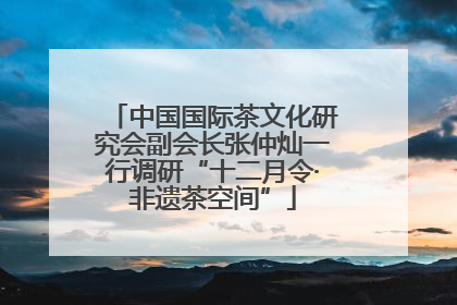 中国国际茶文化研究会副会长张仲灿一行调研“十二月令·非遗茶空间”