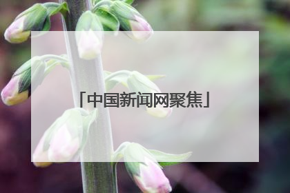 中国新闻网聚焦