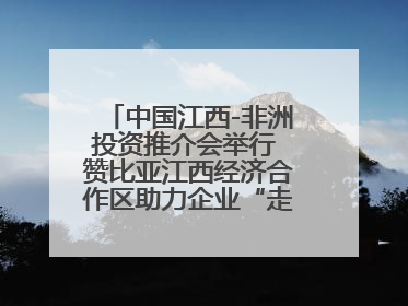 中国江西-非洲投资推介会举行 赞比亚江西经济合作区助力企业“走出去”