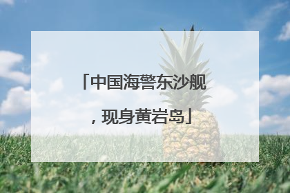 中国海警东沙舰，现身黄岩岛