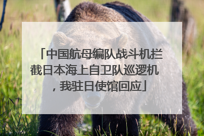 中国航母编队战斗机拦截日本海上自卫队巡逻机，我驻日使馆回应