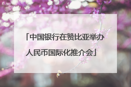 中国银行在赞比亚举办人民币国际化推介会