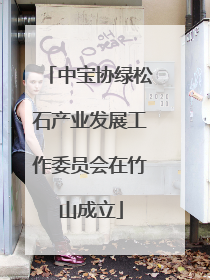 中宝协绿松石产业发展工作委员会在竹山成立