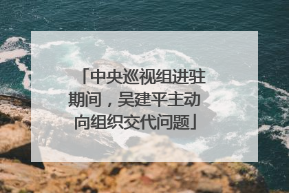 中央巡视组进驻期间，吴建平主动向组织交代问题