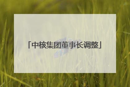 中核集团董事长调整