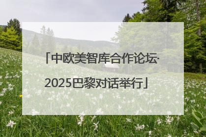 中欧美智库合作论坛·2025巴黎对话举行