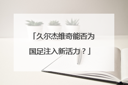 久尔杰维奇能否为国足注入新活力？