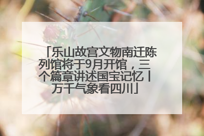 乐山故宫文物南迁陈列馆将于9月开馆，三个篇章讲述国宝记忆丨万千气象看四川