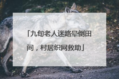九旬老人迷路晕倒田间，村居织网救助