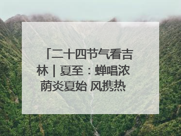 二十四节气看吉林｜夏至：蝉唱浓荫炎夏始 风携热浪白昼长