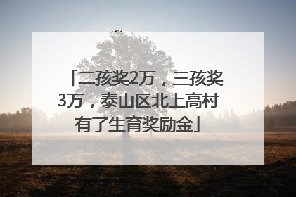 二孩奖2万，三孩奖3万，泰山区北上高村有了生育奖励金