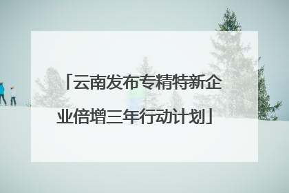 云南发布专精特新企业倍增三年行动计划