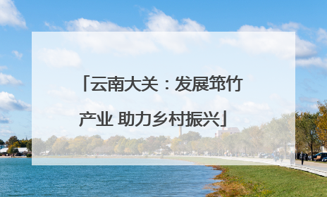 云南大关：发展筇竹产业 助力乡村振兴
