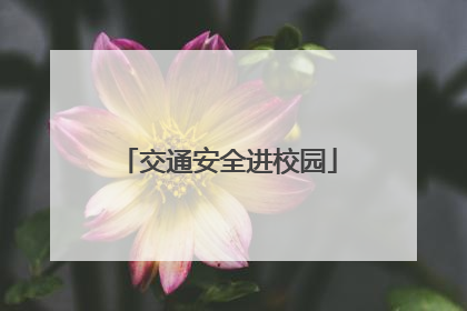 交通安全进校园