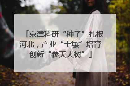 京津科研“种子”扎根河北，产业“土壤”培育创新“参天大树”