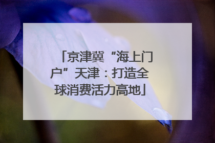 京津冀“海上门户”天津：打造全球消费活力高地