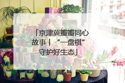 京津冀瓣瓣同心故事丨“一盘棋”守护好生态