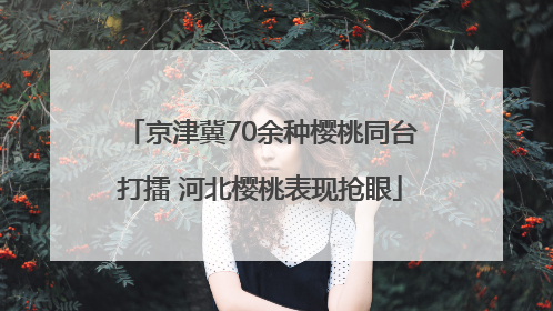 京津冀70余种樱桃同台打擂 河北樱桃表现抢眼